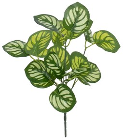 GREEN PEPEROMIA 78286 Τεχνητό Φυτό Πεπερόμια Πράσινη - Μπουκέτο Διακοσμητικών Φυτών - Κλαδιών με Φύλλωμα Πράσινο - Λευκό Υ33cm