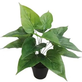 MarHome ΦΥΤΟ ΑΝΘΟΥΡΙΟ ΠΡΑΣΙΝΟ ΣΕ ΓΛΑΣΤΡΑ - Y30cm 6/36KIB  04-20048(18770)