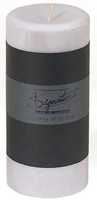 Αρωματικό κερί σόγιας Signature - Le Bois 15cm  (3 τεμάχια)