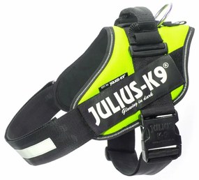 Λουρί Σκύλου Julius K9 IDC Κίτρινο L 1