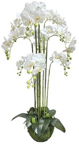 MarHome ΦΥΤΟ ΟΡΧΙΔΕΑ ΛΕΥΚΑ ΑΝΘΗ REAL TOUCH - Υ118cm 1/ΚΙΒ  04-94372-1