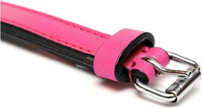 Κολλάρο Σκύλου Gloria Γεμισμένο Φούξια (30 x 1,5 cm)