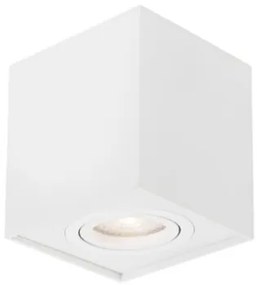 R 2026