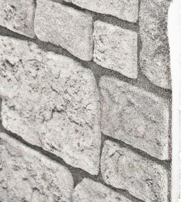 vidaXL Πάνελ τοίχου 10 pcs Γκρι 100 x 50 cm Αφρός EPS