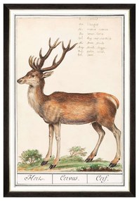 Κάδρο Cervus FA13239 60x90cm Brown-Green MindTheGap Κάθετοι Wood