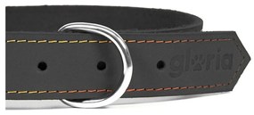 Κολλάρο Σκύλου Gloria Oasis Μαύρο (55 x 2,5 cm)