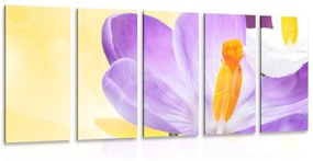 Λουλούδι με εικόνα 5 μερών στην άνοιξη - 100x50