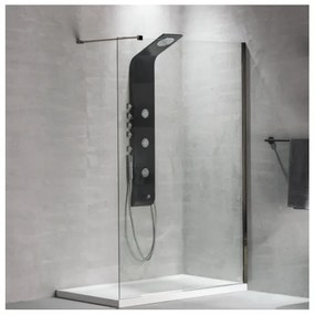 Devon Iwis Walk-in Inox 304 Διαχωριστικό Κρύσταλλο Ντουζιέρας Με Inox Brushed Βραχίονα 77-79 εκ. - ύψος 200 εκ