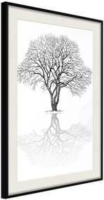 Αφίσα - Roots or Treetop? - 30x45 - Μαύρο - Με πασπαρτού