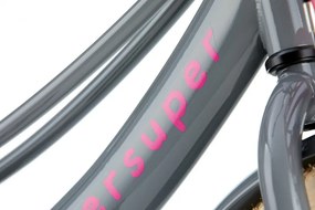 Lola 16 Inch 25,4 cm Girls Coaster Brake Pink/Grey