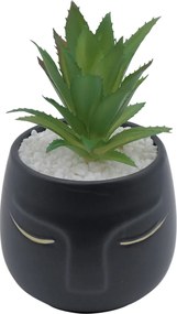 Τεχνητό Φυτό σε Μοντέρνο Κεραμικό Γλαστράκι 12x11x19cm