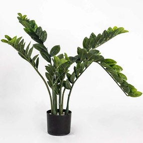 Τεχνητό Φυτό Ζάμια 5450-6 60x80cm Green Supergreens Πολυαιθυλένιο