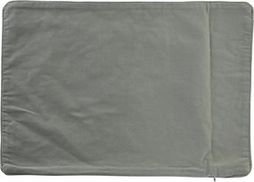 Κάλυψη μαξιλαριού DKD Home Decor 60 x 1 x 40 cm Μέντα