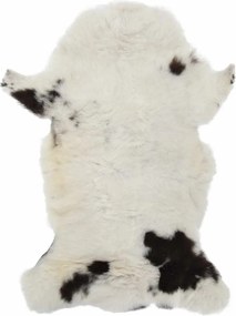 vidaXL Γούνα Προβάτου Διαφόρων Αποχρώσεων (60-70) x (90-100) εκ.