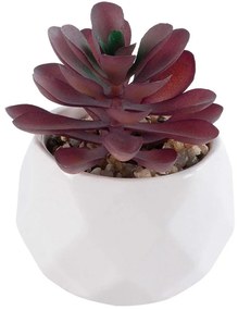 Τεχνητό Φυτό Σε Κασπώ Crassula 21004 Φ7x9,5cm Brown-White GloboStar Clay,Polyethylene