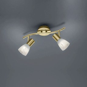 Φωτιστικό Οροφής-Σποτ Led Levisto 2x400Lm 33x19x10cm Brass Mat 871010208 Trio Lighting Μέταλλο,Γυαλί