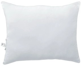 vidaXL Μαξιλάρια 2 pcs Λευκό 30 x 50 cm
