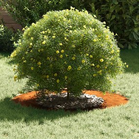 vidaXL Flat Tree Ring Ø40/70 εκ. Σίδερο Ανθεκτικό
