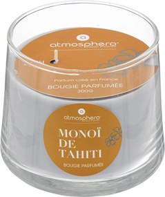 Κερί Αρωματικό 300gr (Φ10x8) A-S Izor Monoi 196029D