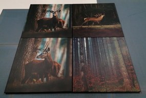 Σετ εικόνων με όμορφα σχέδια των ζώων του δάσους