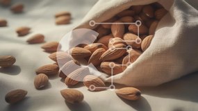 Intra Συλλεκτικό Ξύλινο Παζλ Plywood  4mm - Ωμά αμύγδαλα σε ένα σάκο Σε Ξύλινο Κουτί - Διαστάσεις: 10x10 cm – 25 κομμάτια