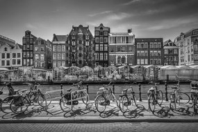 Φωτογραφία AMSTERDAM Singel With Flower Market, Melanie Viola