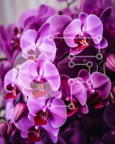 Σετ των 2 Intra Συλλεκτικό Ξύλινο Παζλ Plywood  4mm - Μπουκέτο με μωβ λουλούδια ορχιδέας σε άνθηση Σε Ξύλινο Κουτί - Διαστάσεις: 10x10 cm – 25 κομμάτια