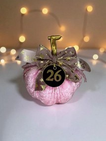 Κολοκύθα Ροζ βελούδινη μεγάλη