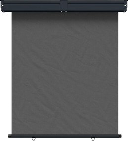 vidaXL Αυλούπα Πλευράς Μπαλκονιού 160 x 250 cm