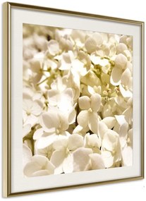 Αφίσα - Soothing Flowers - 30x30 - Χρυσό - Με πασπαρτού