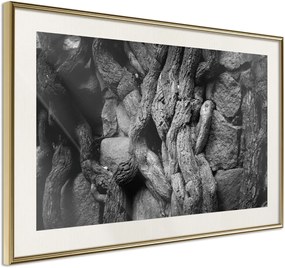 Αφίσα - Strong Roots - 60x40 - Χρυσό - Με πασπαρτού