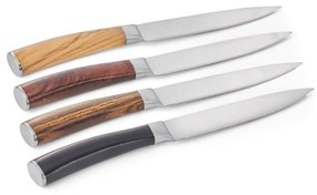 Μαχαίρια Κρέατος Garry (Σετ 4Τμχ) 353002 Multi Philippi Stainless Steel