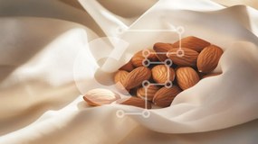 Σετ των 2 Intra Συλλεκτικό Ξύλινο Παζλ Plywood 4mm - Αμύγδαλα σε μαλακό ύφασμα Σε Ξύλινο Κουτί - Διαστάσεις: 10x10 cm – 25 κομμάτια