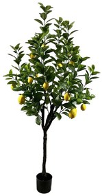 Διακοσμητικό φυτό Lemon tree σε γλάστρα Inart πράσινο pp Υ180εκ
