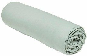 Τοποθετημένο κάτω φύλλο TODAY Πράσινο 160 x 200 cm