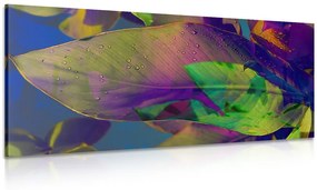 Εικόνα φύλλα πλημμυρισμένα από χρώματα - 120x60