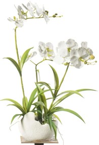Τεχνητό Φυτό Ορχιδέα Phalaenopsis 8401-6 57cm White Supergreens Ύφασμα,Πλαστικό