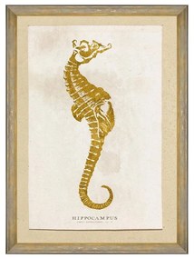 Κάδρο Caribbean Sea Life - Hippocampus FA13181 50X70 MindTheGap Κάθετοι Wood