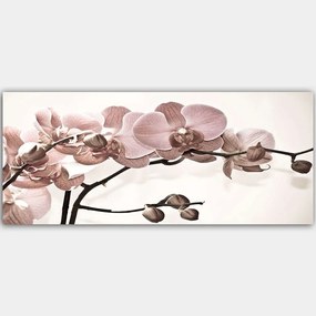 Πίνακας Καμβάς 451ERN1561 120x50cm Multi Wallity Horizontal Wood, Canvas