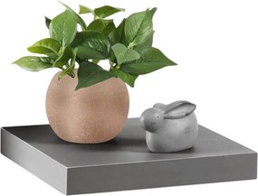 ΡΑΦΙΈΡΕΣ/ΡΆΦΙΑ ΤΟΊΧΟΥ FLOATING SHELF MDF L25*22,8CM ANTHRACITE GREY 6RAN