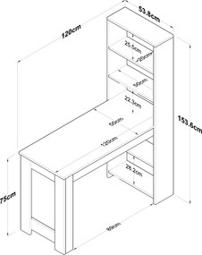 Γραφείο Λευκό / Καρυδιά HA106 120x53,8x153,6