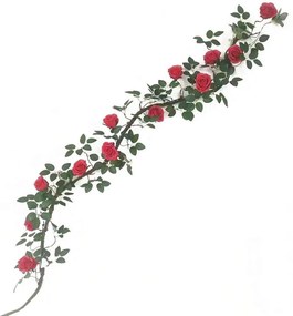 Τεχνητή Γιρλάντα Τριαντάφυλλο Garden 3881-7 240cm Red Supergreens Ύφασμα,Πλαστικό