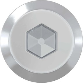 vidaXL Βίδες επίπλων 2 pcs Ασημί M6 x 100 χιλ. Ατσάλι