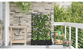 vidaXL Κηποτινάκι με Τρέλα Μαύρο 80 x 40 x 125.5 εκ. PP
