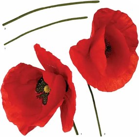 Αυτοκόλλητα Τοίχου Ango Poppies 54101