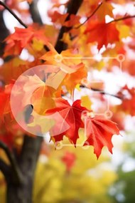 Σετ των 2 Intra Συλλεκτικό Ξύλινο Παζλ Plywood 4mm - Φθινοπωρινό δέντρο με φύλλα που πέφτουν Σε Ξύλινο Κουτί - Διαστάσεις: 10x10 cm – 25 κομμάτια