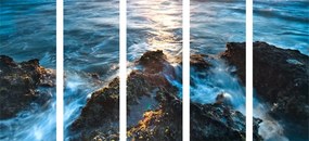 Εικόνα 5 μερών θαλάσσια παλίρροια - 100x50