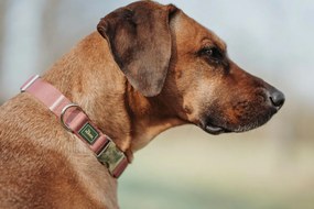 Κολλάρο Σκύλου Hunter Inari Κόκκινο M 30-45 cm