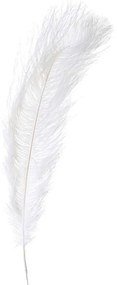 Φτερό Διακοσμητικό 3-70-355-0040 40/80cm White Inart Πολυέστερ