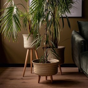 Πλαστικό καλάθι Natu plus - 26.00Χ26.00Χ60.00cm